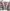 3Pl Header