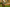 Les Deux Customer Testimonial