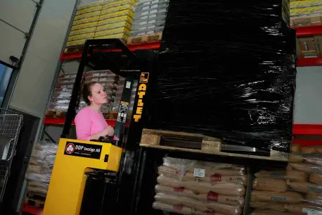 DDP Sverige AB använder Ongoing WMS.