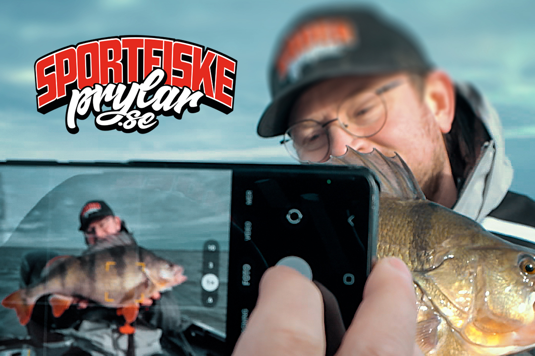 Angler photographing caught perch with Sportfiskeprylar.se logo in the image