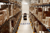 Haypp Warehouse 1 (1)