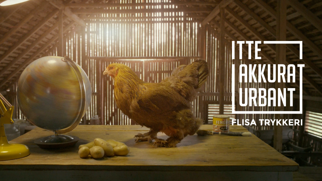 Flisa Trykkeri advertisement with a hen on a table in a barn setting