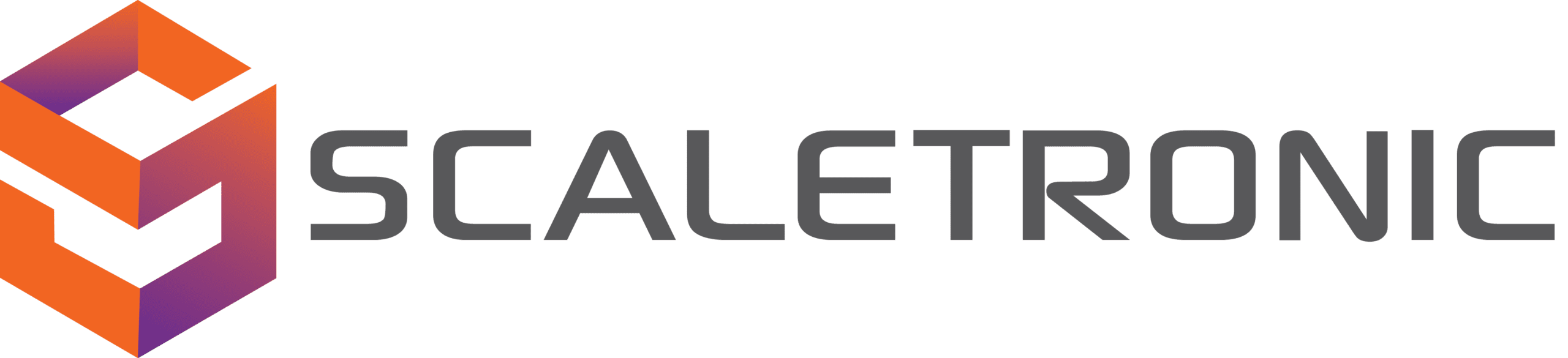 Scaletronic Logo